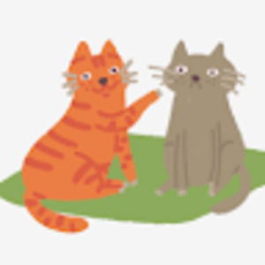 Meet your Posher, Stellaaa